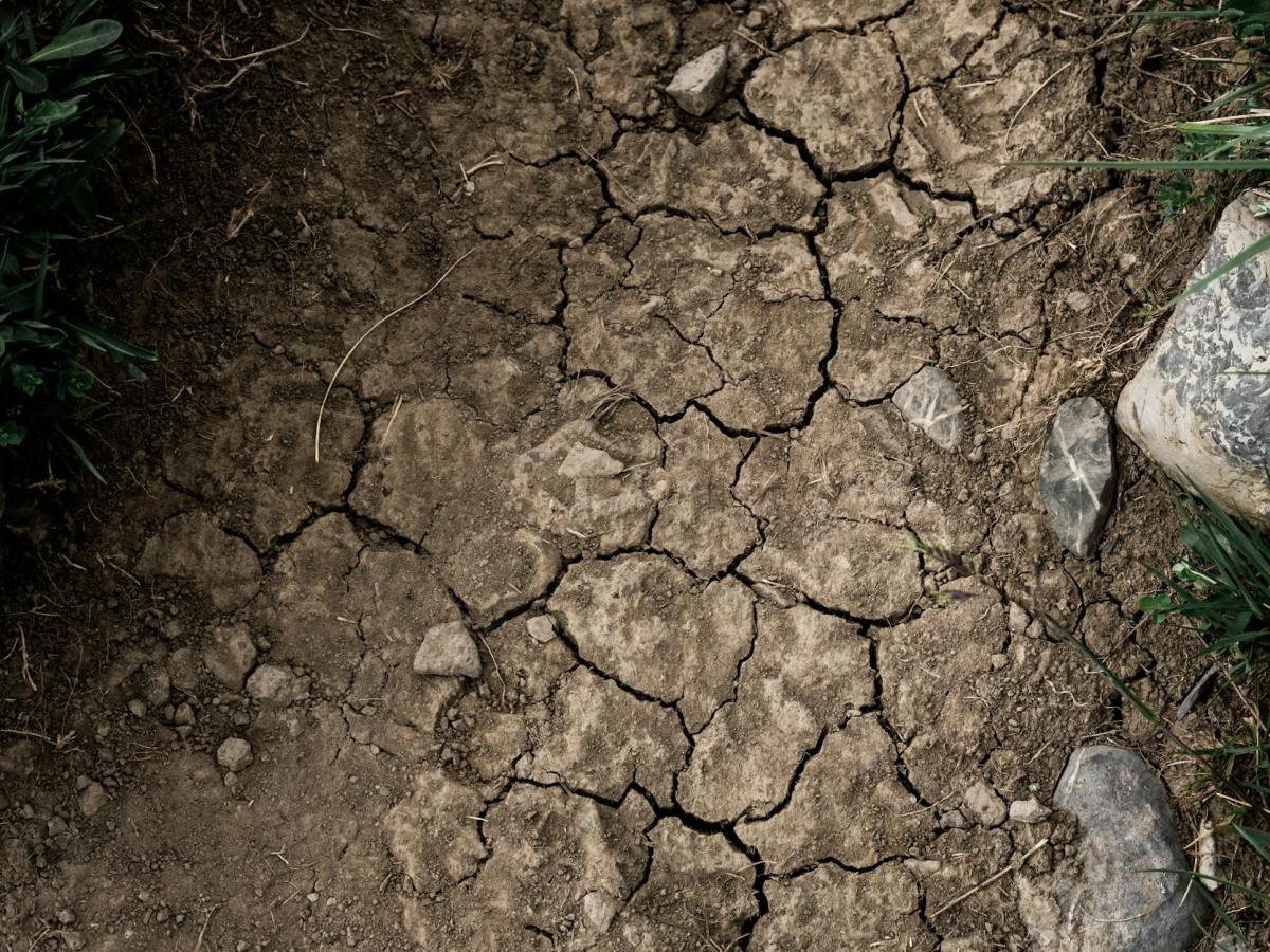 Break Up the Fallow&nbsp;Ground